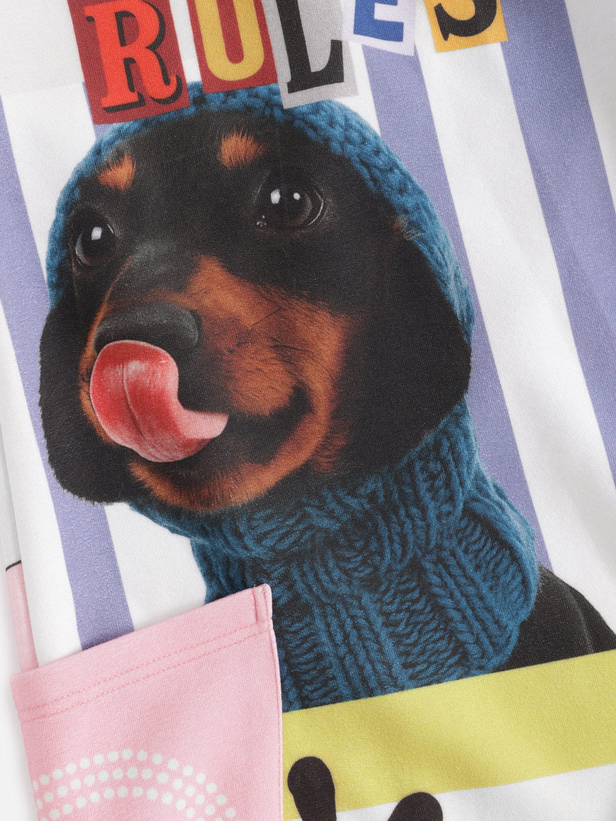 Aelfric Eden Dachshund Collage Double Waist Baggy Sweatpants - Image 6